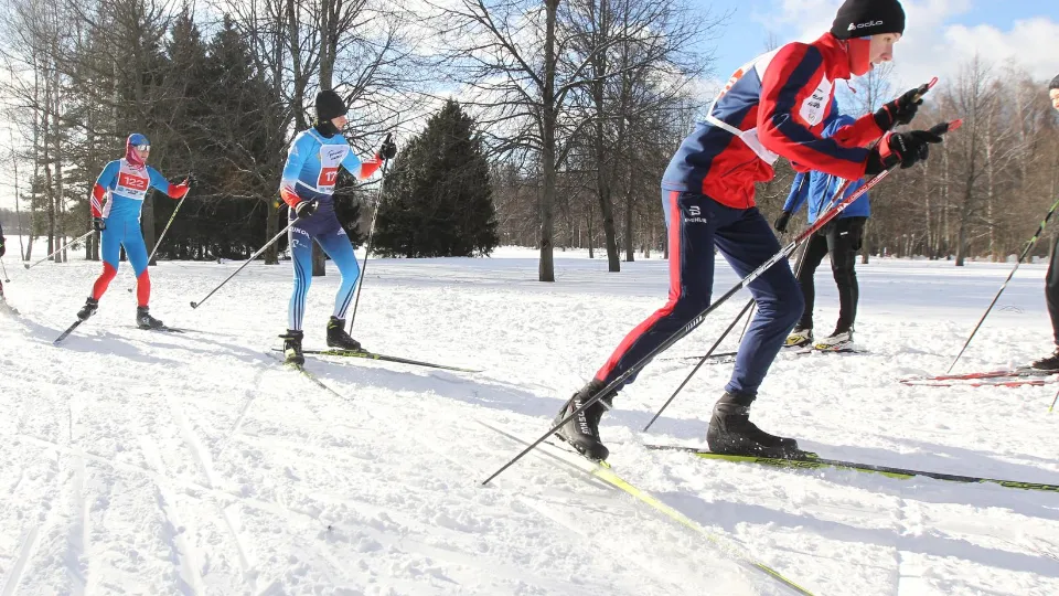 Фото: пресс-служба администрации г.о. Ленинский