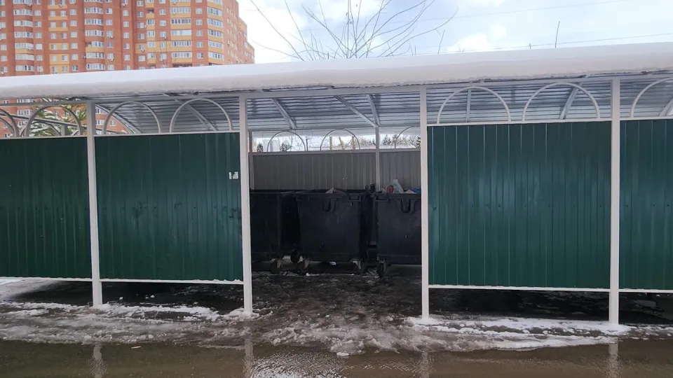 Фото: Хавива Фонина