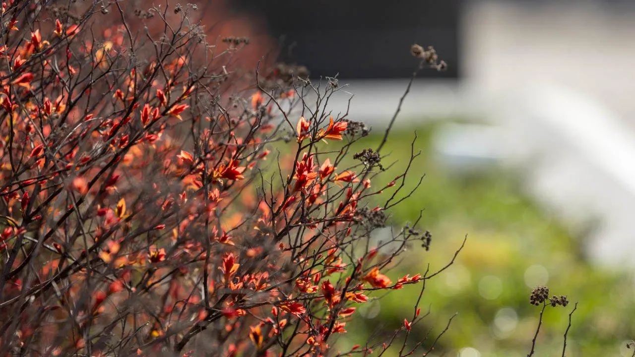 REGIONS/Роман Малышенко