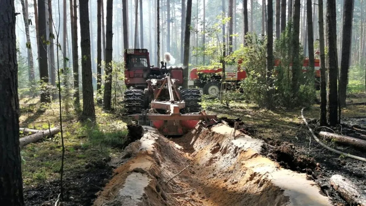 Комитет лесного хозяйства МО