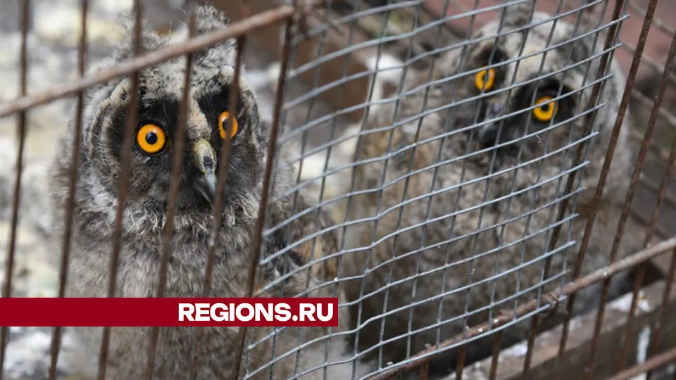 Фото: Владимир Останин