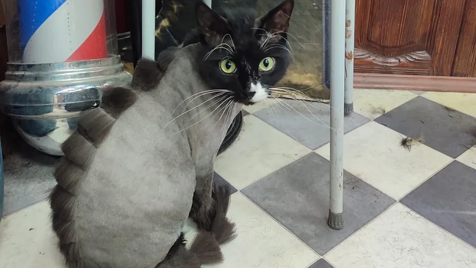 Фото: t.me/TEDDY_Talks