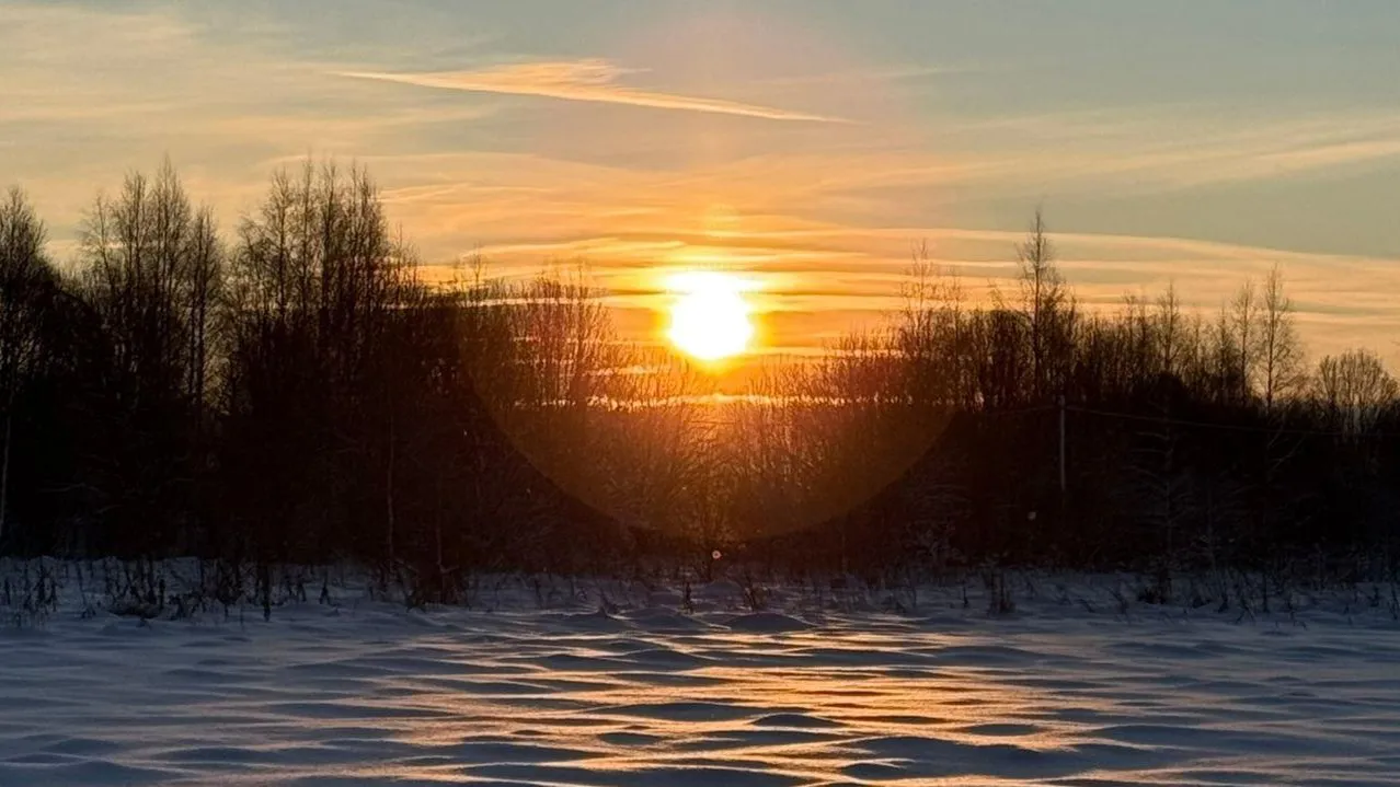 Марина Алифанова