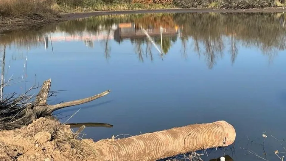 Фото: Министерство экологии и природопользования Московской области