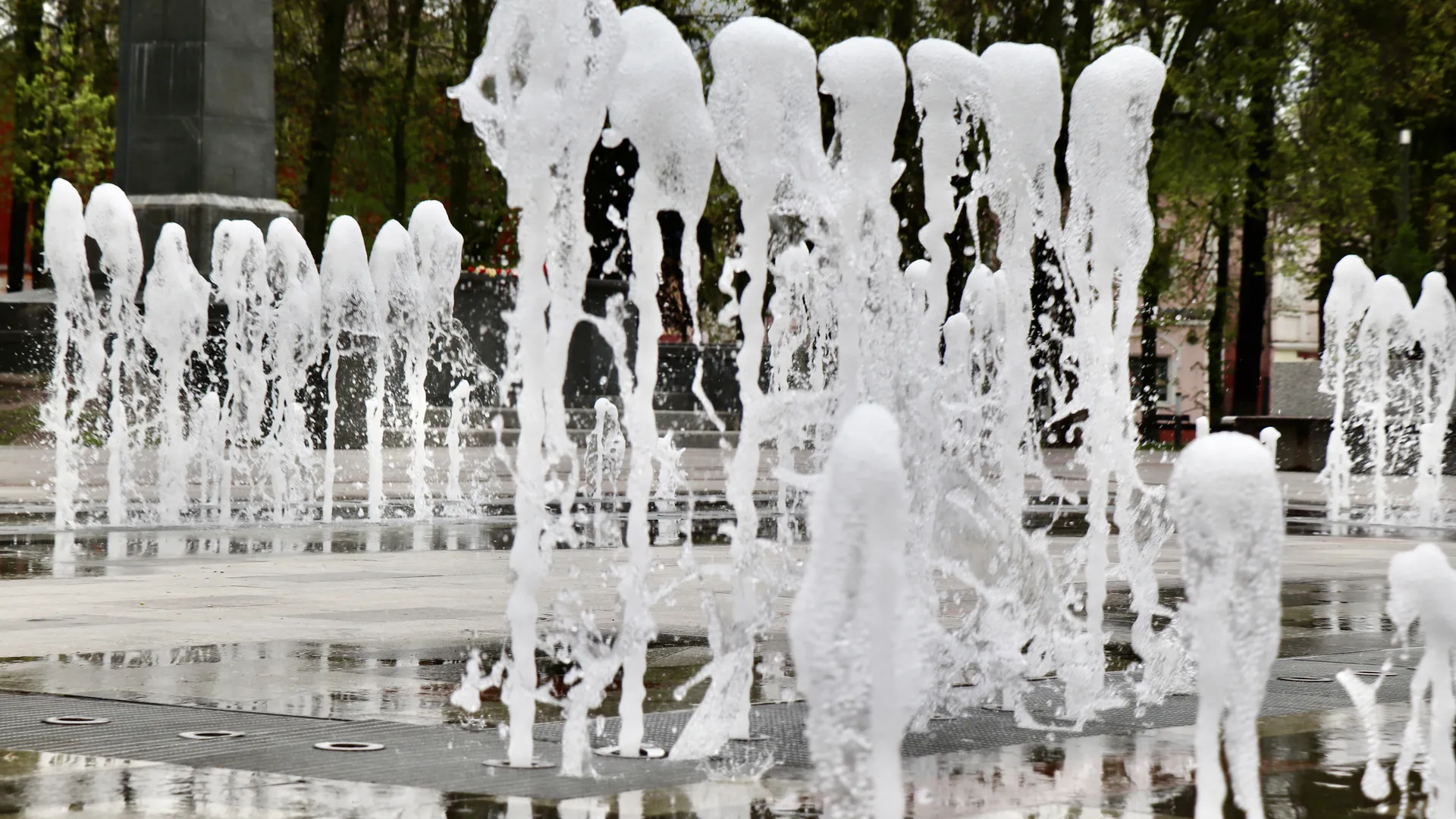Фото: Василий Тремасов