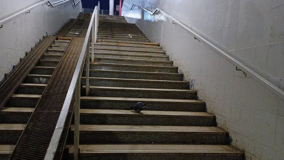 Фото: Министерство транспорта и дорожной инфраструктуры Московской области