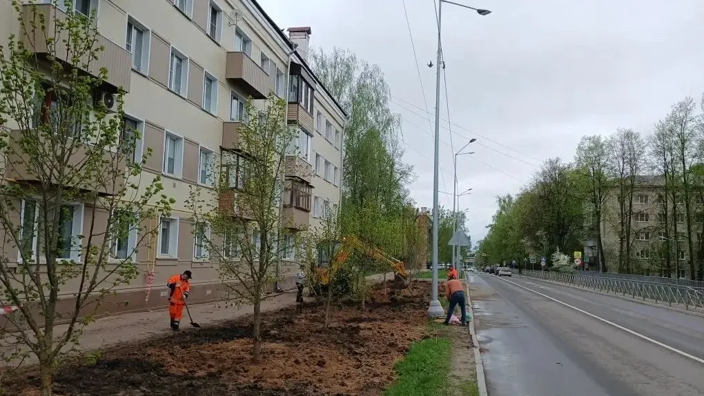 Картинка