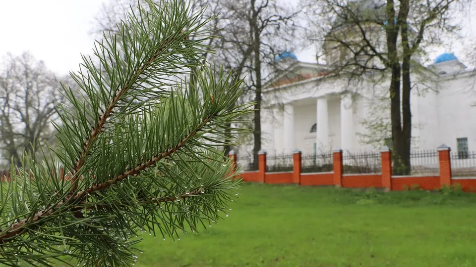 Фото: REGIONS/Ирина Матвеева