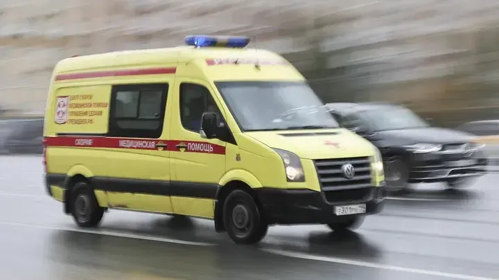 Фото: Софья Сандурская/ТАСС