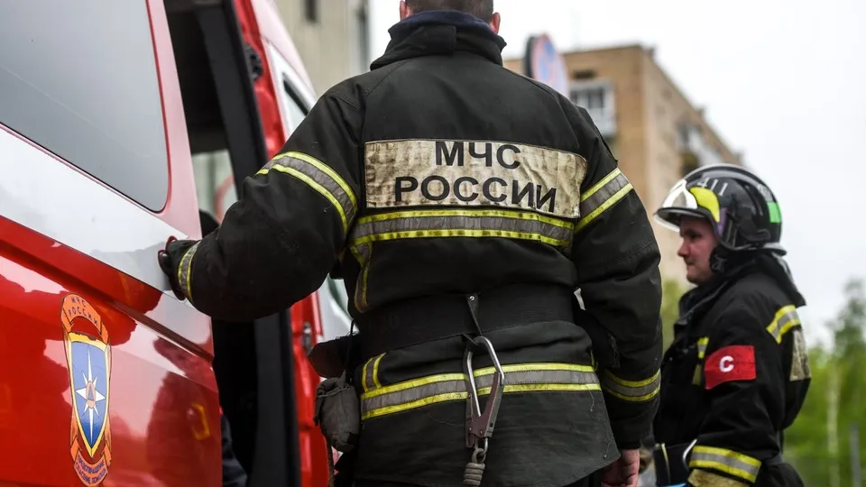 Фото: Медиаархив Подмосковья