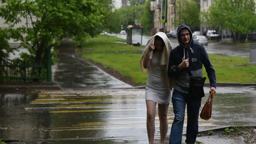 Фото: медиасток.рф