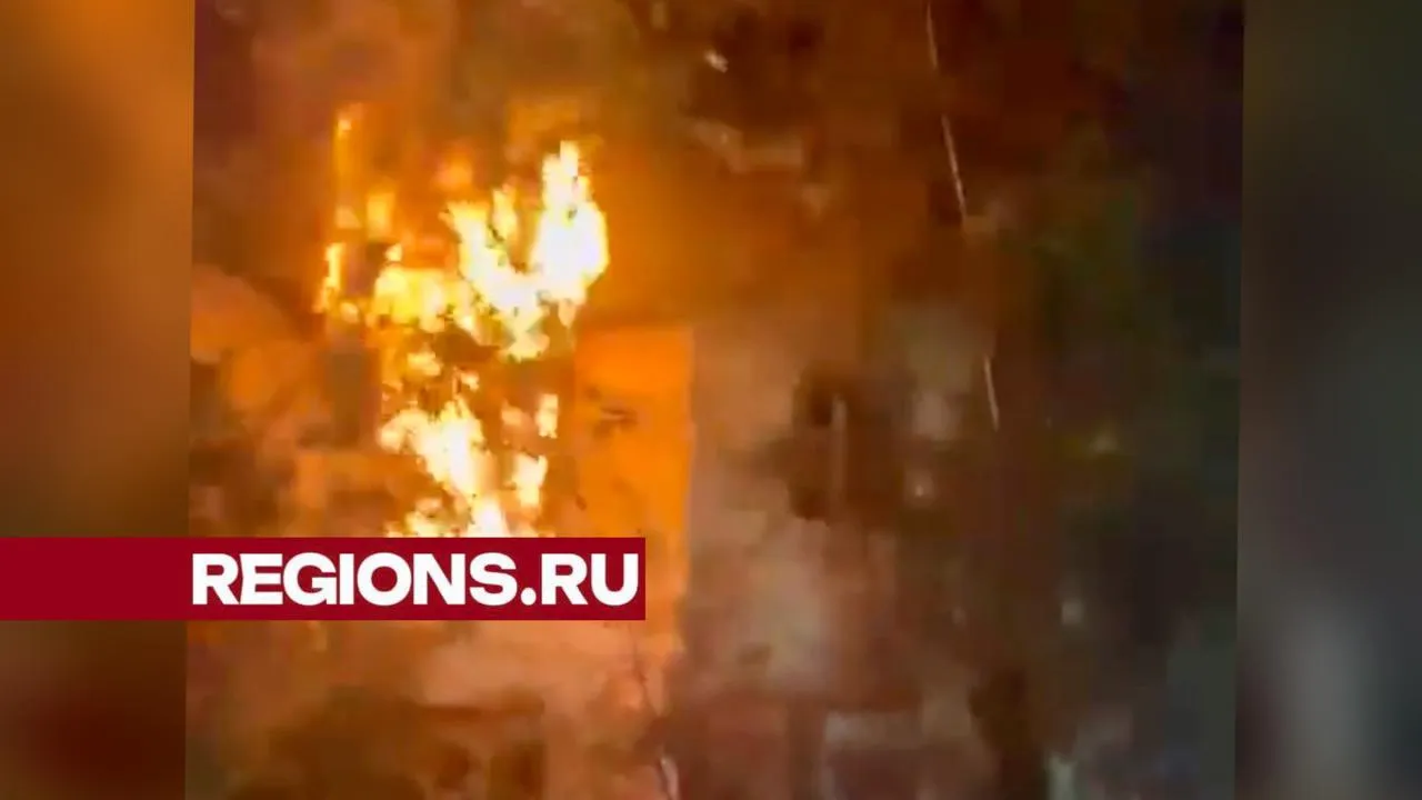 Фото: соцсети