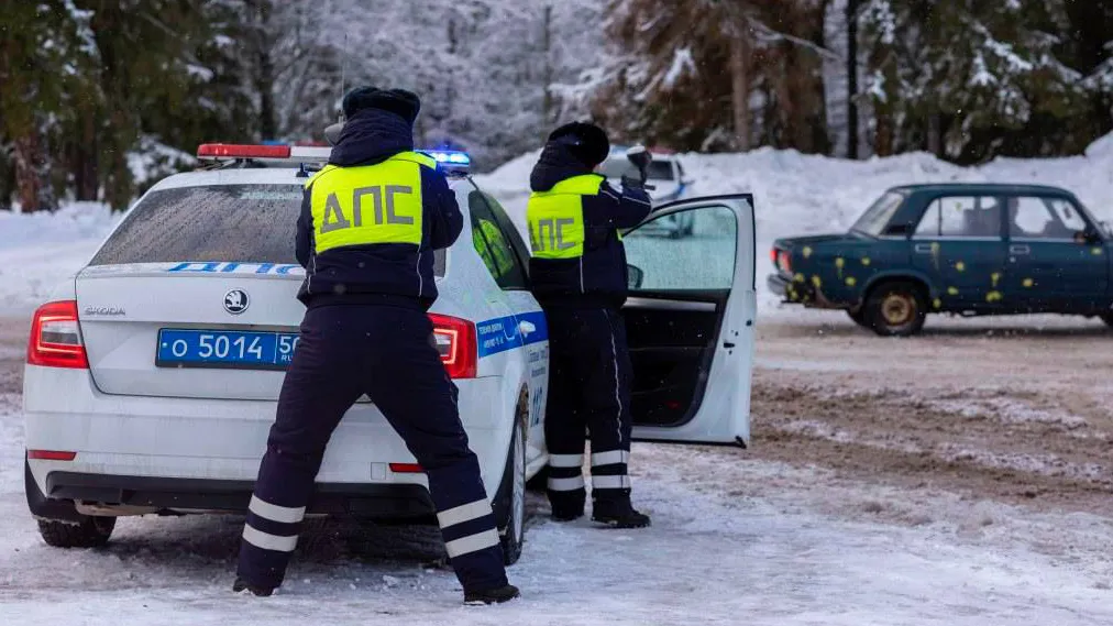 Фото: Госавтоинспекция Московской области