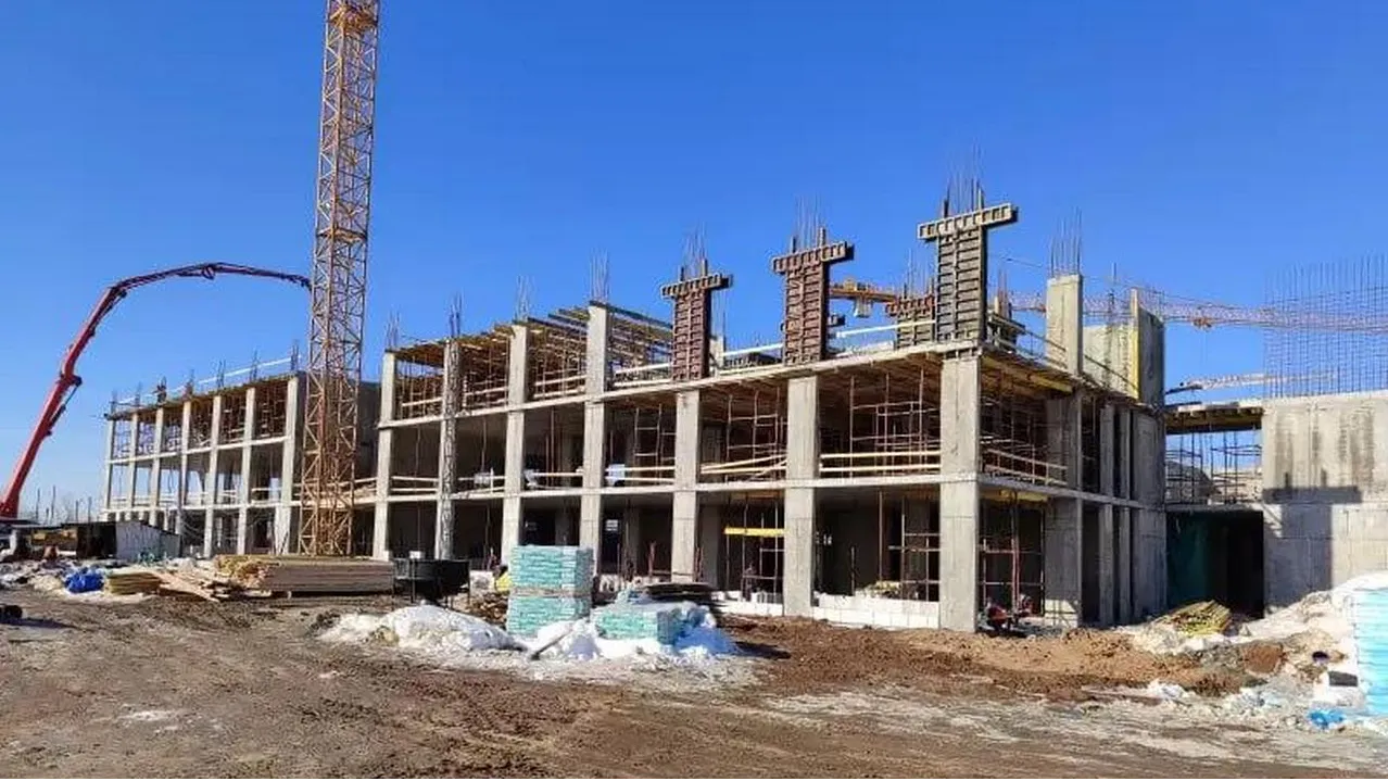 Фото: Пресс-служба министерства социального развития Московской области