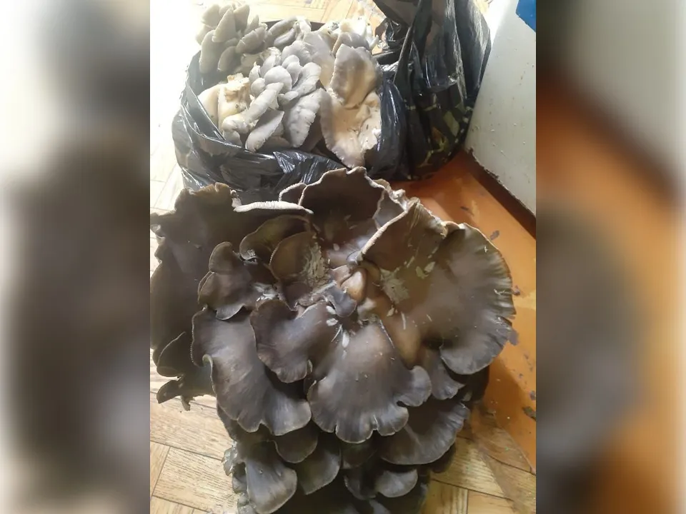 Фото: REGIONS/Екатерина Сарычева