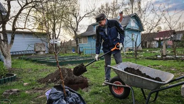 В Госдуме хотят упростить прописку на дачных участках