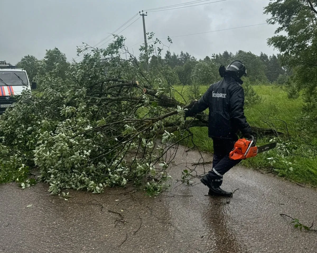 Фото: vk.com/ГКУ МО «Мособлпожспас»