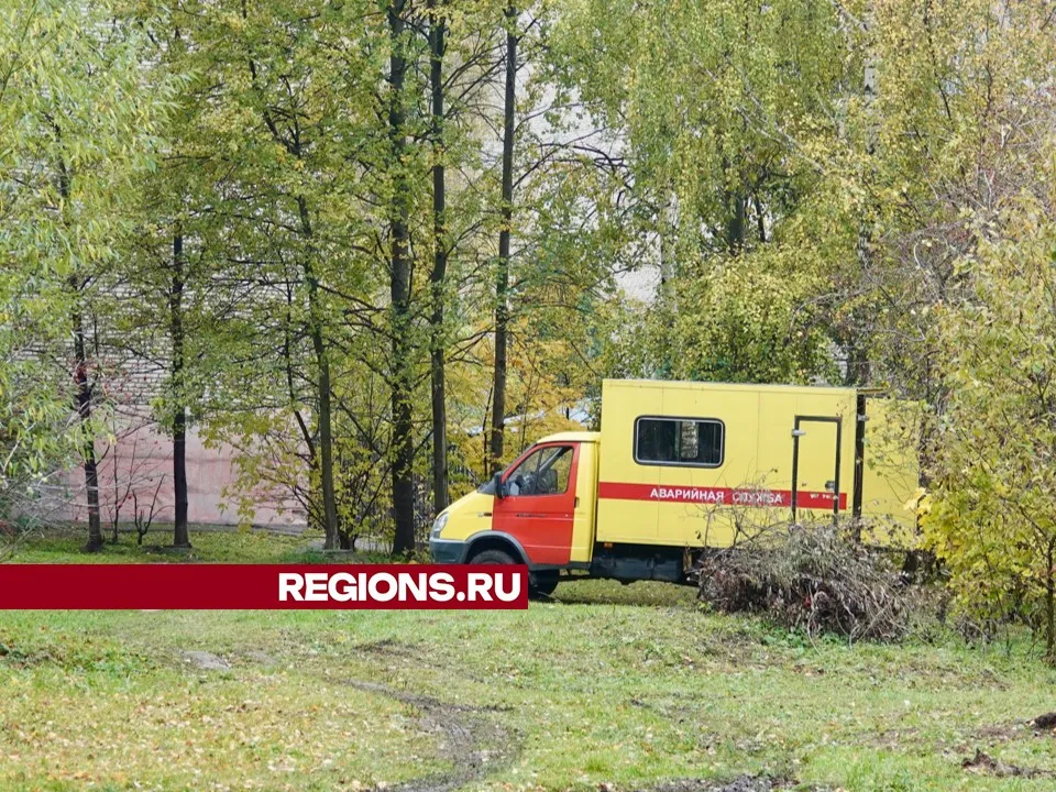 Фото: Дарья Леонова