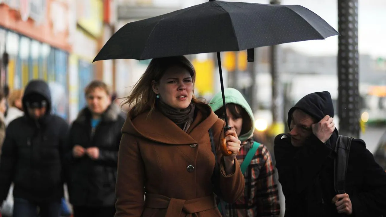 медиасток.рф