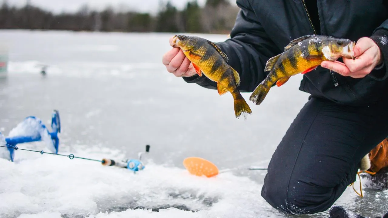 istockphoto.com/michaldziki