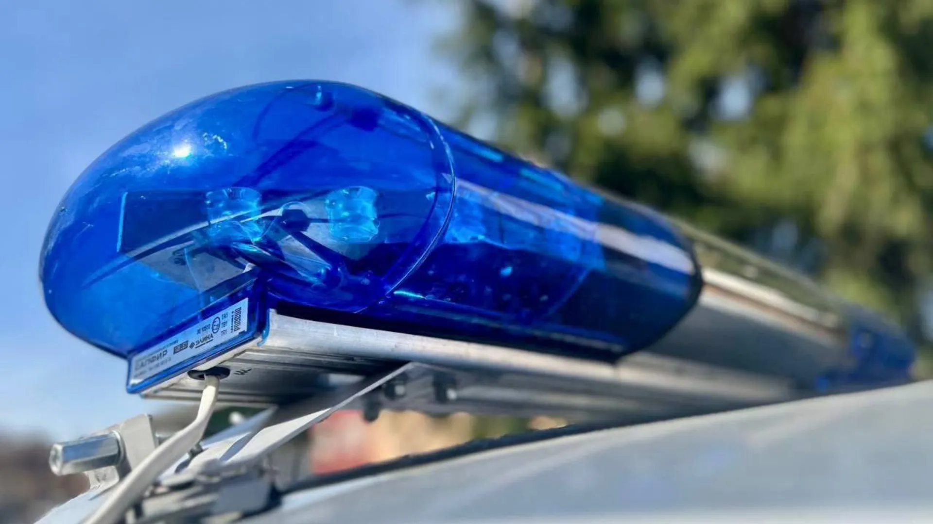 Фото: t.me/rosgvardmo50