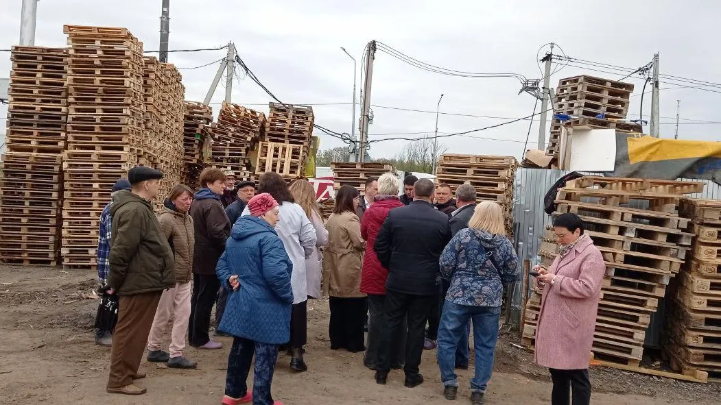 Фото: пресс-служба администрации г. о. Домодедово