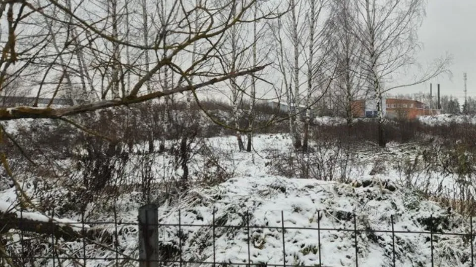 Фото: Минэкологии МО