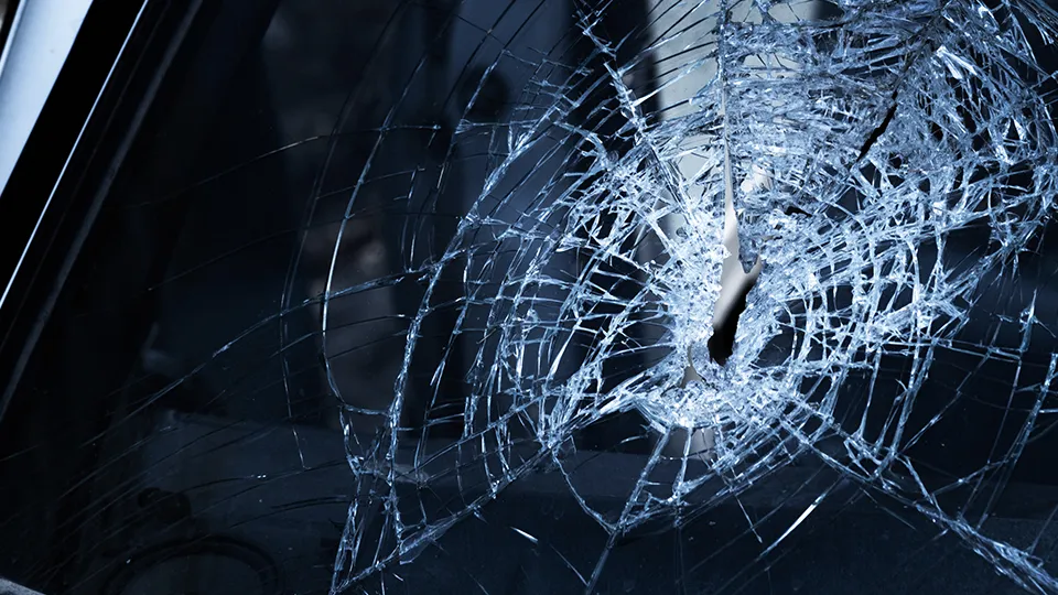 Фото: istockphoto.com/hxdbzxy