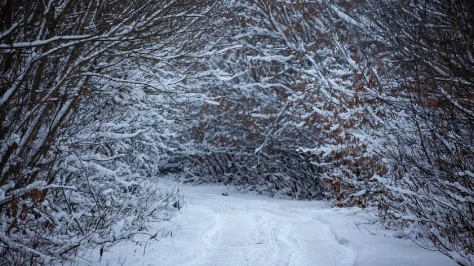 Фото: REGIONS/Дарина Левкина