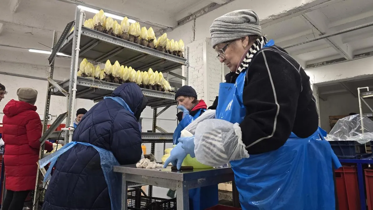 МедиаБанк Подмосковья/Марина Анисимова