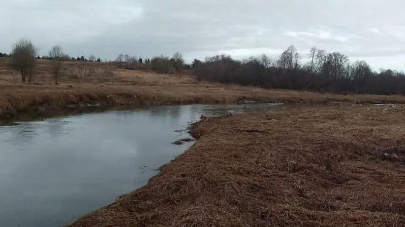Водоохранную зону реки Кончуры в Сергиево-Посадском городском округе очистили от отходов