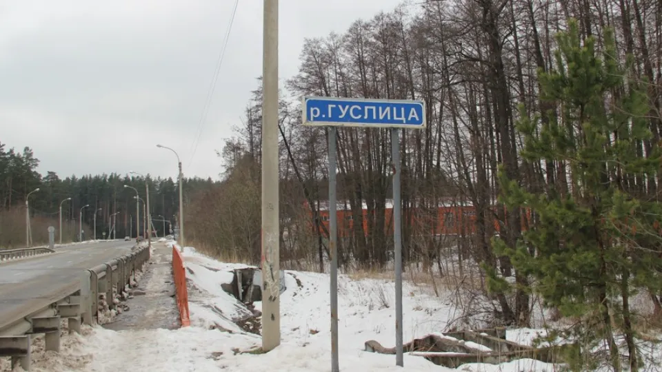 Фото: REGIONS/Василий Тремасов