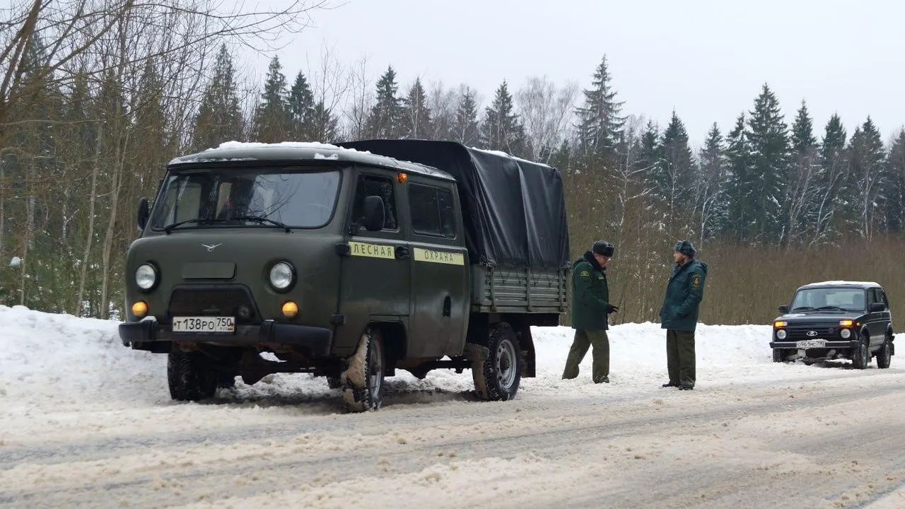 Комитет лесного хозяйства Московской области