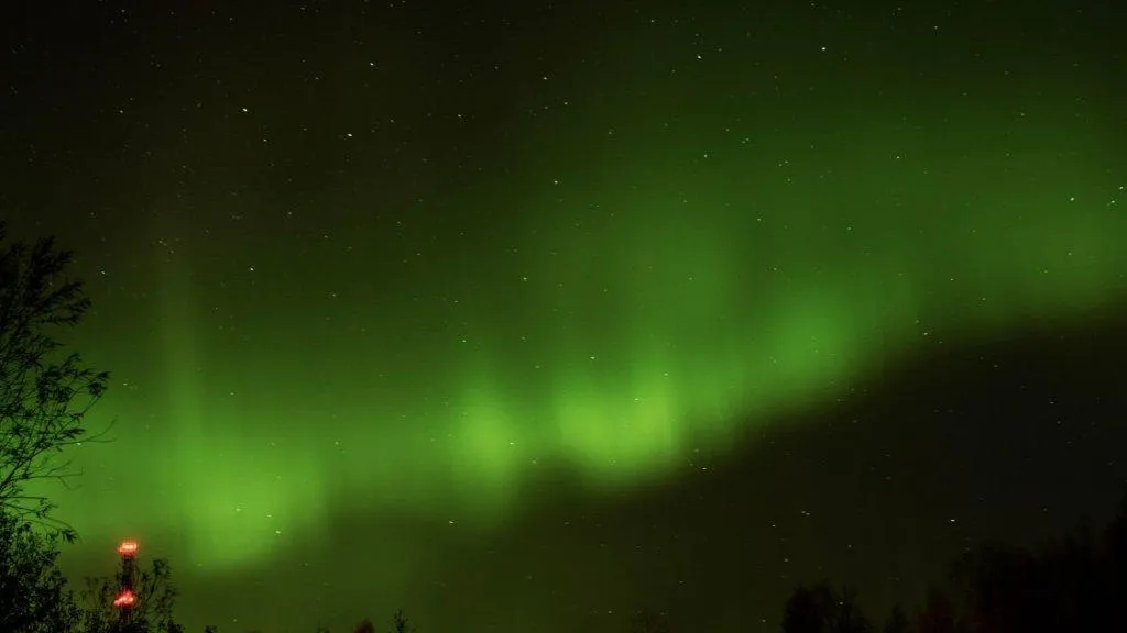 Фото: Дарина Неселова / NewDayNews