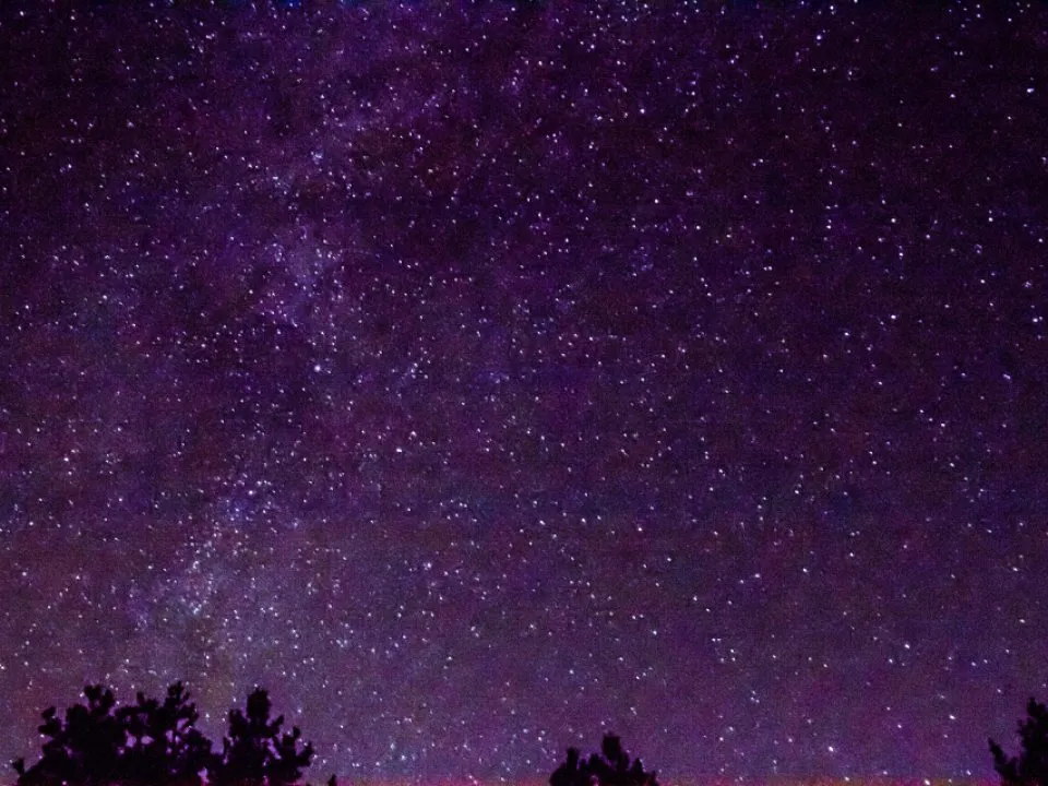 Фото: REGIONS/Владимир Ерастов