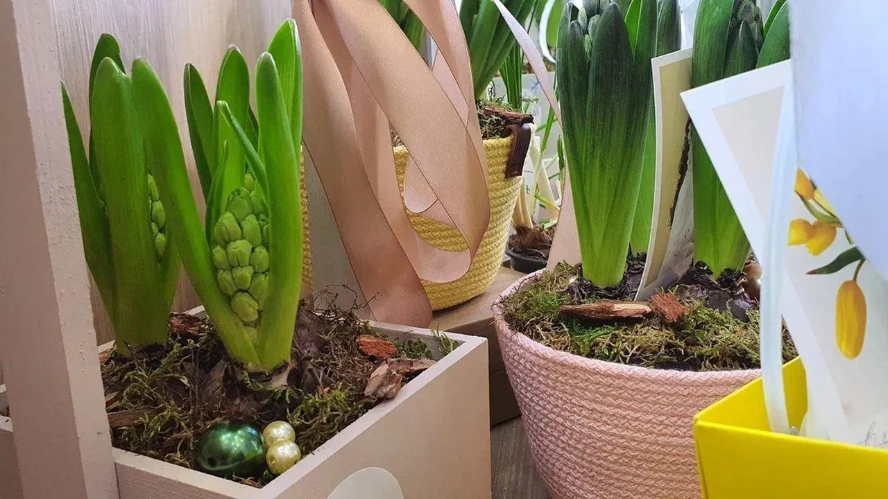 REGIONS/Наталья Надточая