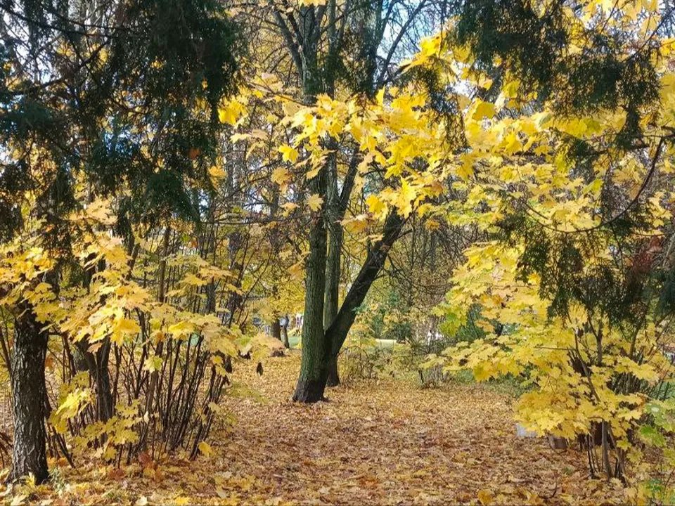 Фото: пресс-служба городского округа Кашира