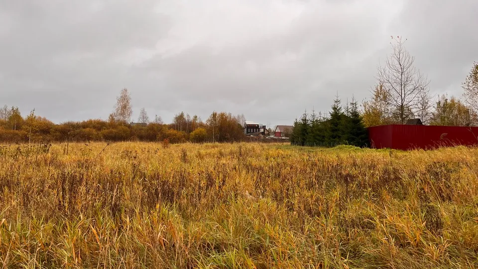 Фото: МедиаБанк Подмосковья/Екатерина Данилина