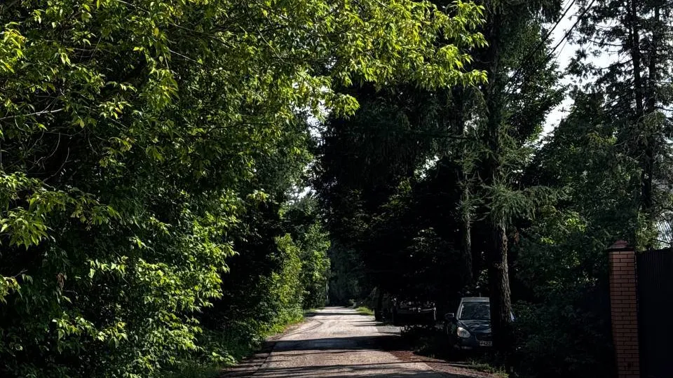 Фото: пресс-служба администрации Наро-Фоминского г.о.