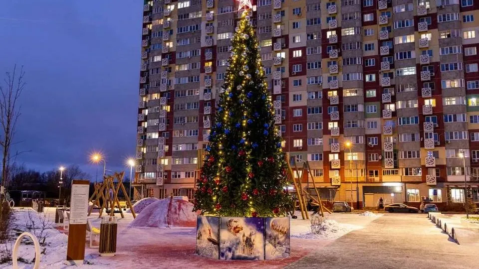 Фото: пресс-служба администрации г.о. Лобня