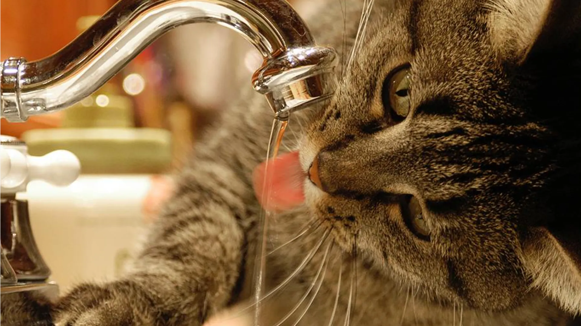 Фото: istockphoto.com/manonallard