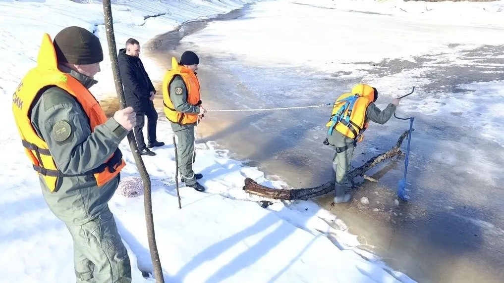 администрация Талдомского г.о.