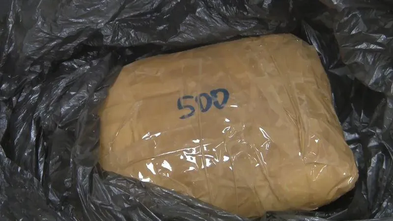 ГУ МВД по МО