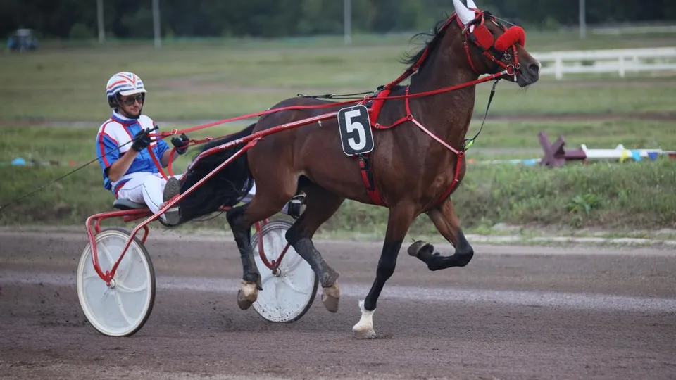 Фото: РамМедиа