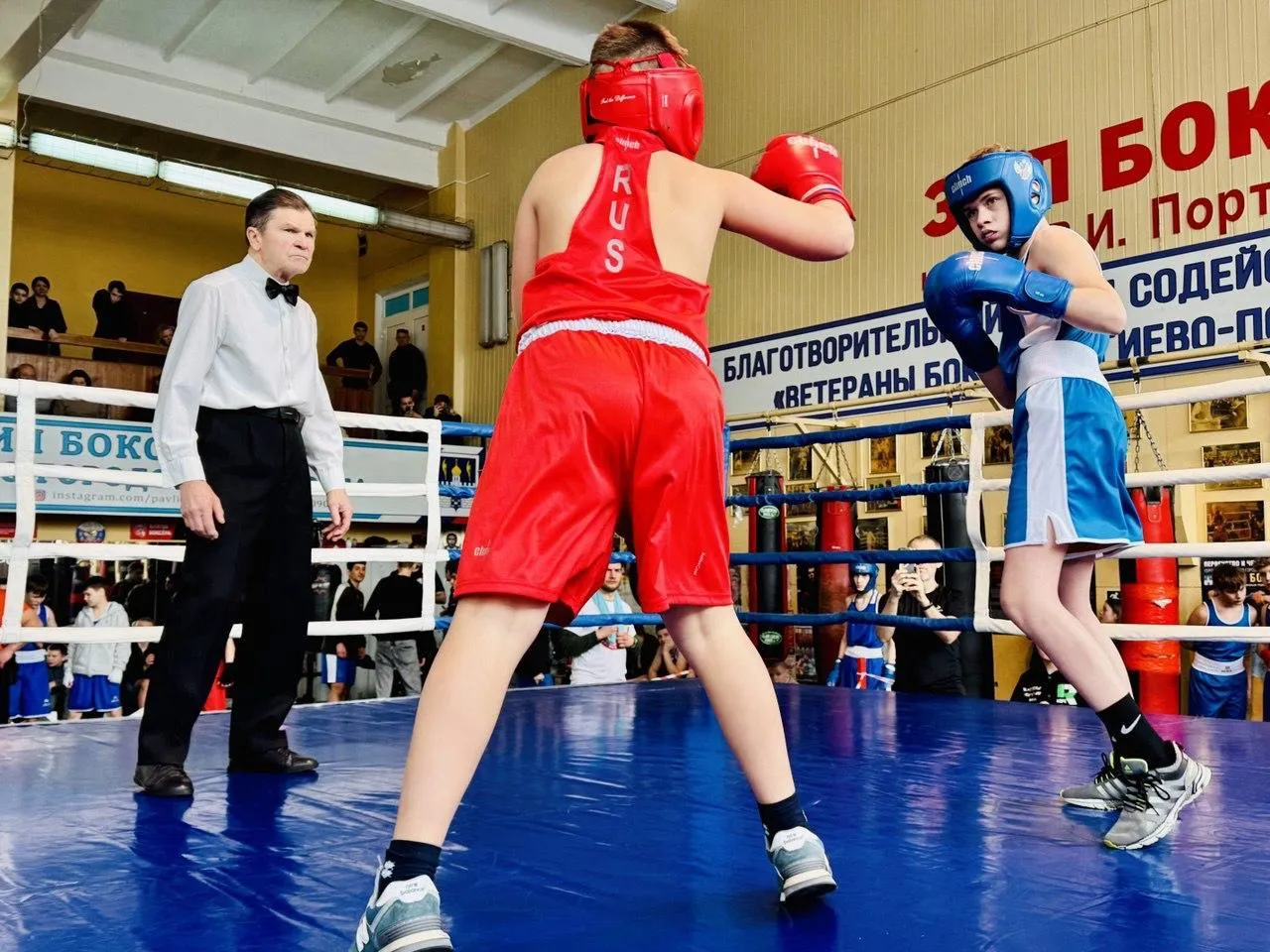 REGIONS/Татьяна Сташенко