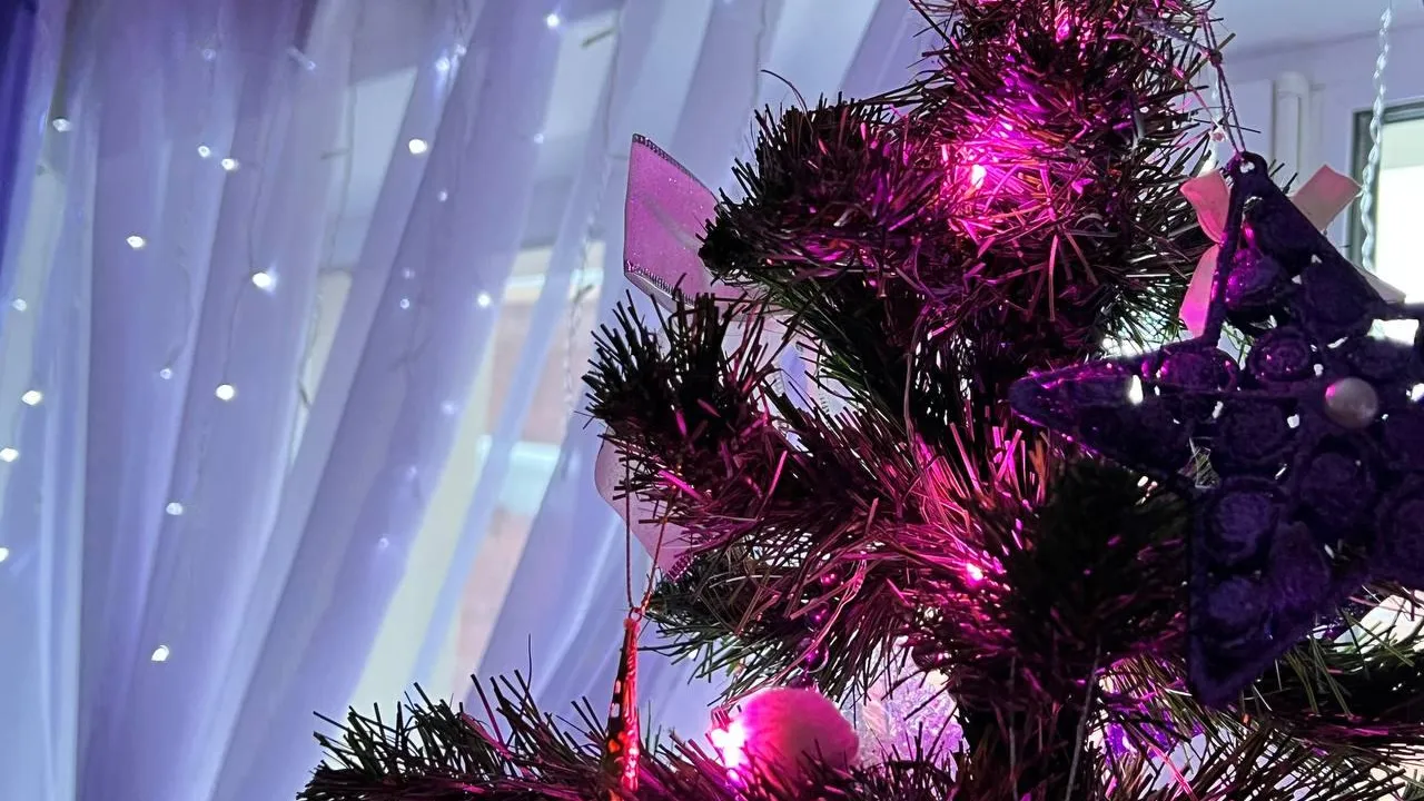 Фото: Елена Фурман