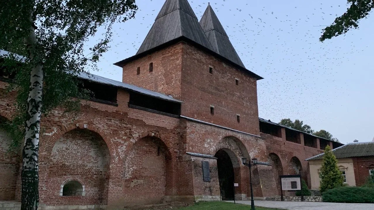 Екатерина Елисеева