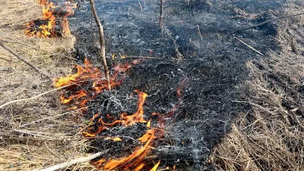 «Желтый» уровень опасности продлили в Подмосковье из-за высокого риска пожаров