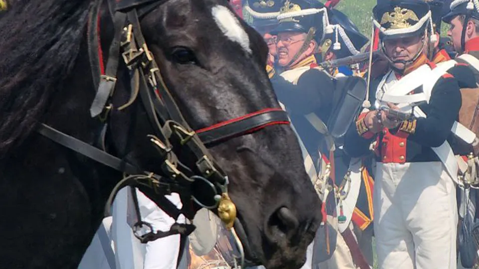Фото: МедиаБанк Подмосковья/Яна Шаливская