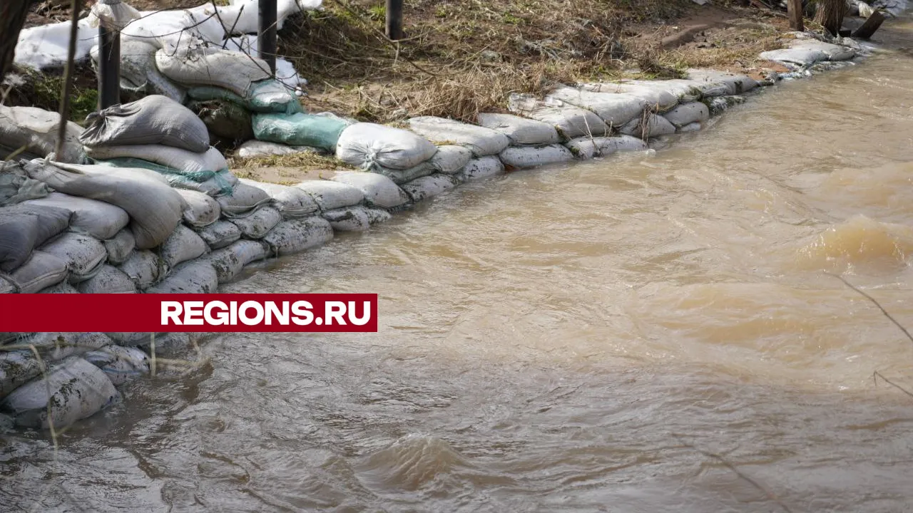 Фото: REGIONS/Дмитрий Зайчиков